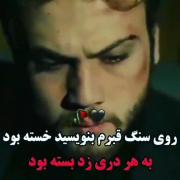 روی سنگ‌ قبرم بنویسید خسته بود به هر دری زد بسته بود🖤