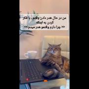 وقتی درس نمیخونی و عذاب وجدان داری😂😂😂